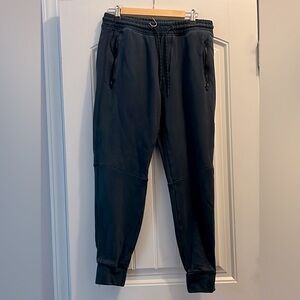 American Eagle Navy Jogger pants
